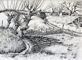 Dessin à l'encre de Chine