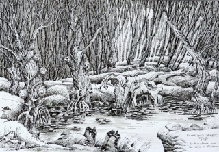 Dessin à l'encre de Chine