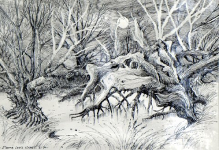 Dessin à l'encre de Chine