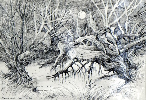 Dessin à l'encre de Chine